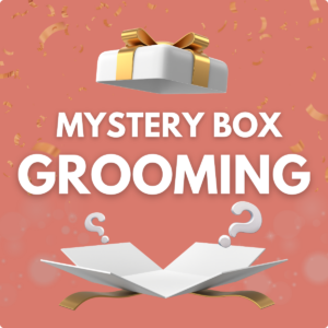 Mystery Grooming Box